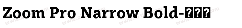 Zoom Pro Narrow Bold字体转换